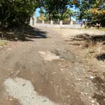 Διασταύρωση