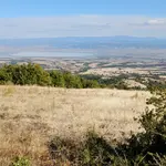 Τριγωνομετρικό